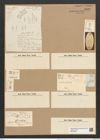 Tabellaria flocculosa var. amphicephala (Ehr.) Grun. (de-Toni-Nr.: Genus 89, Species 2988) Zeichnungen Sammlung Grunow Nr. 6100 (NHMW-BOT-W0374628)